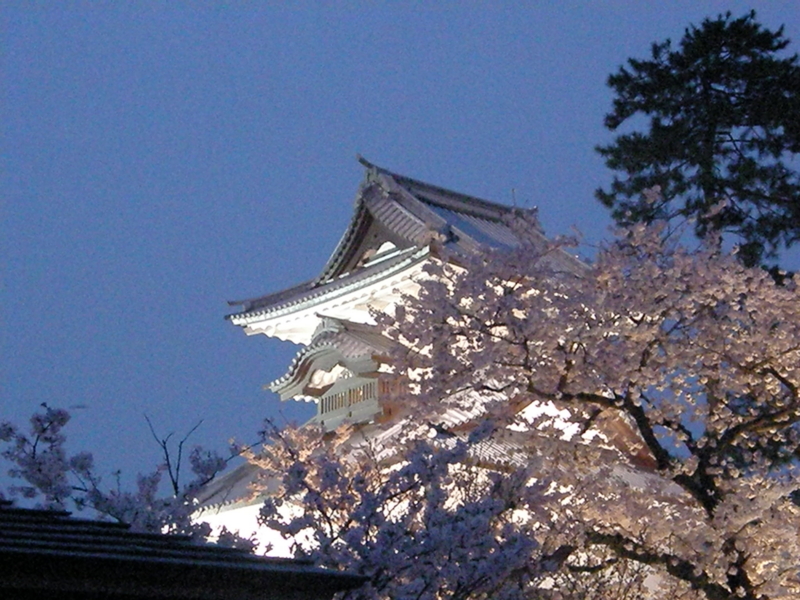 f:id:k10no3:20080412185419j:image:w560 f:id:k10no3:20080412185419j:image:w560