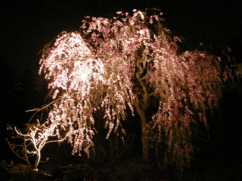 f:id:k10no3:20080412193354j:image:w560 f:id:k10no3:20080412193354j:image:w560