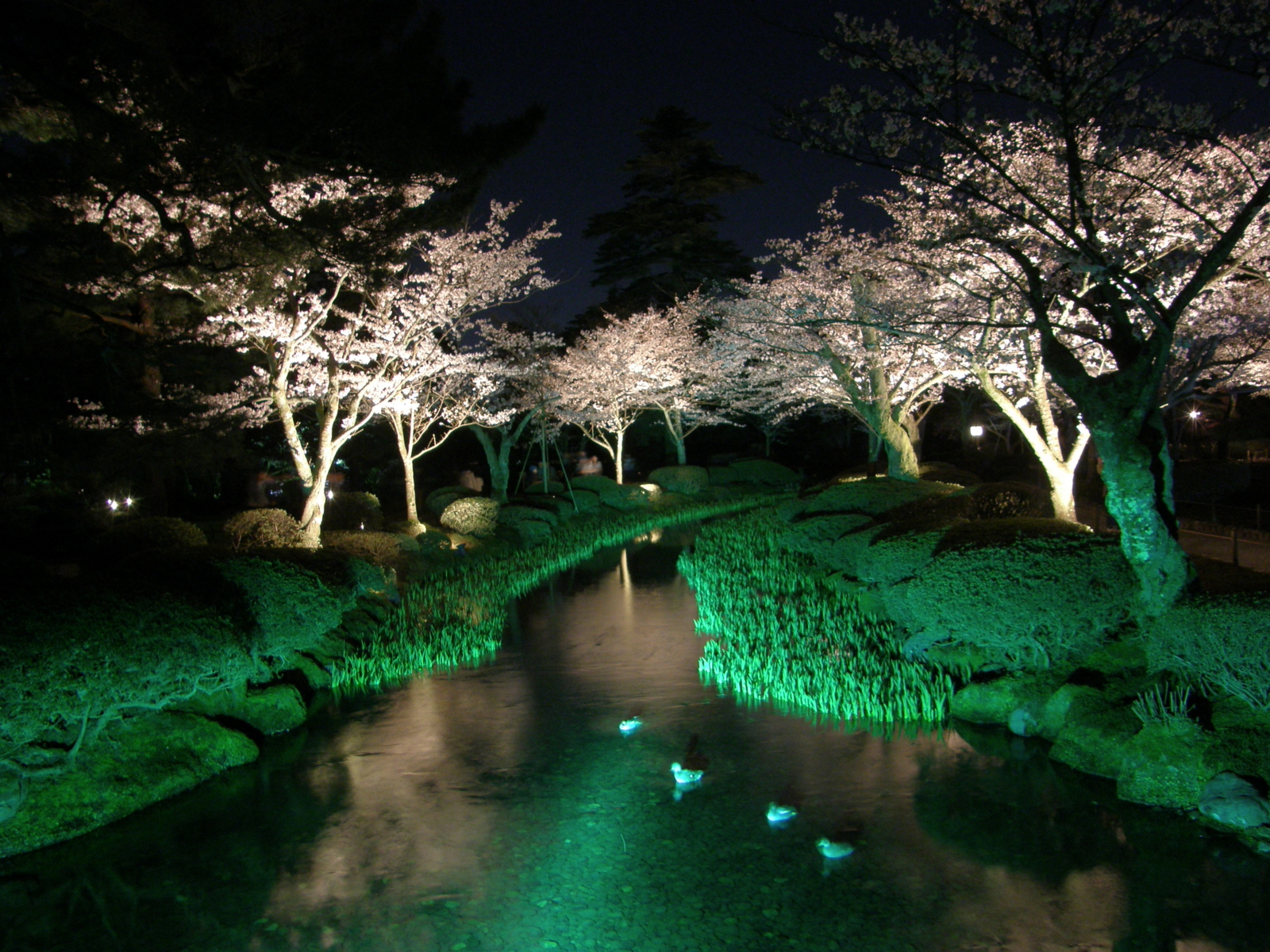 f:id:k10no3:20100408193001j:image:w640 f:id:k10no3:20100408193001j:image:w640