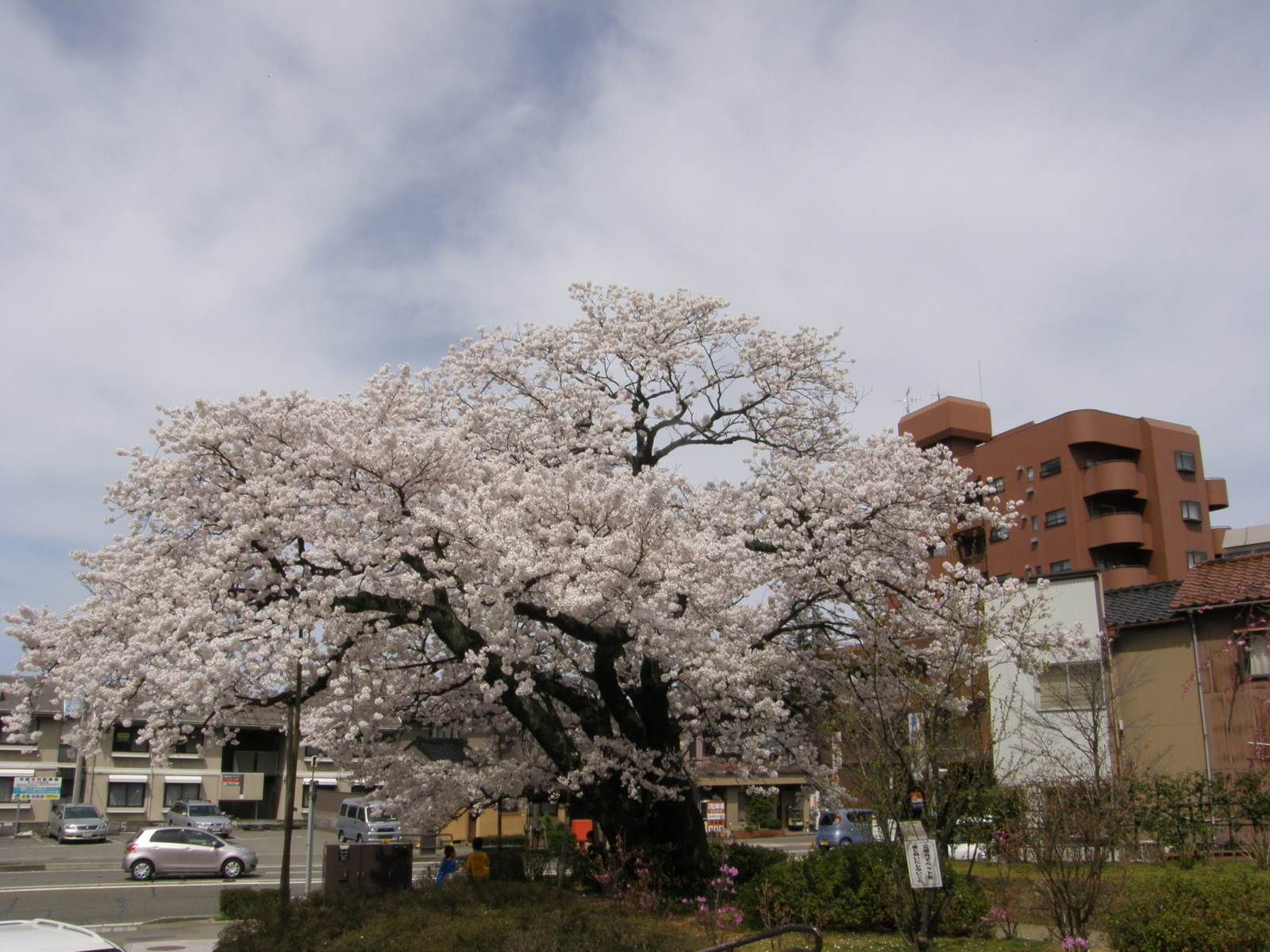 f:id:k10no3:20100410105316j:image:w640 f:id:k10no3:20100410105316j:image:w640