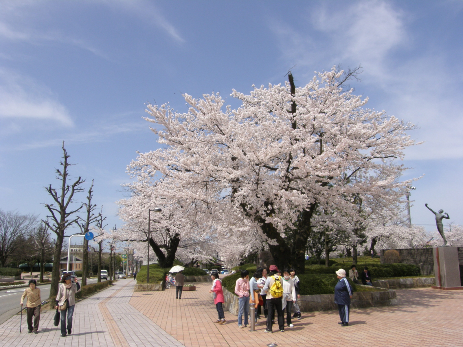 f:id:k10no3:20100410111716j:image:w640 f:id:k10no3:20100410111716j:image:w640