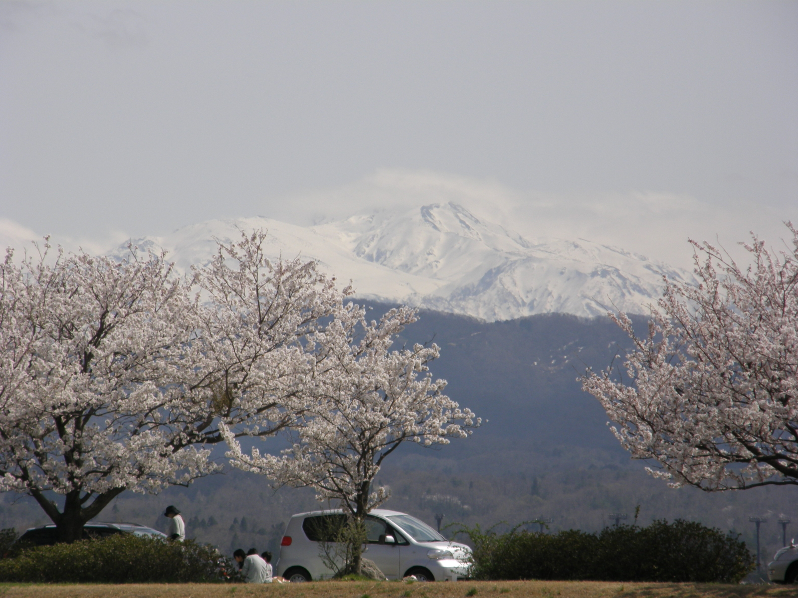f:id:k10no3:20100410132350j:image:w640 f:id:k10no3:20100410132350j:image:w640