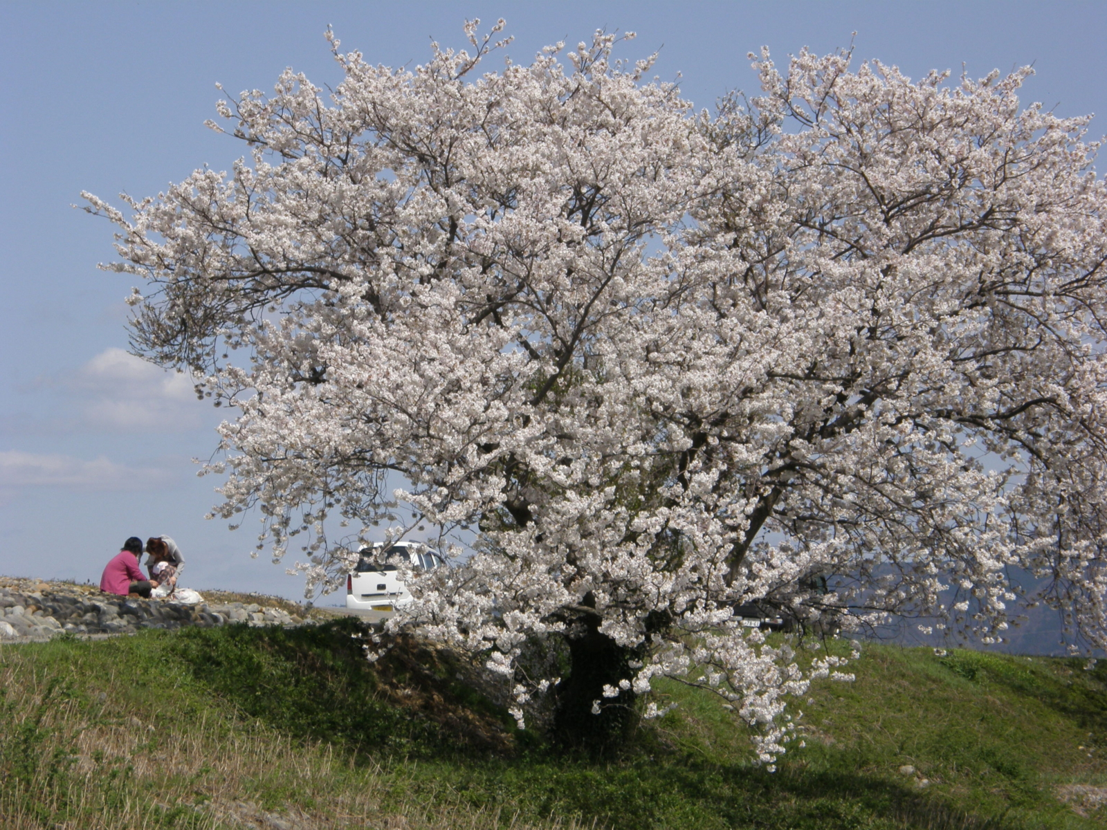 f:id:k10no3:20100410133932j:image:w640 f:id:k10no3:20100410133932j:image:w640