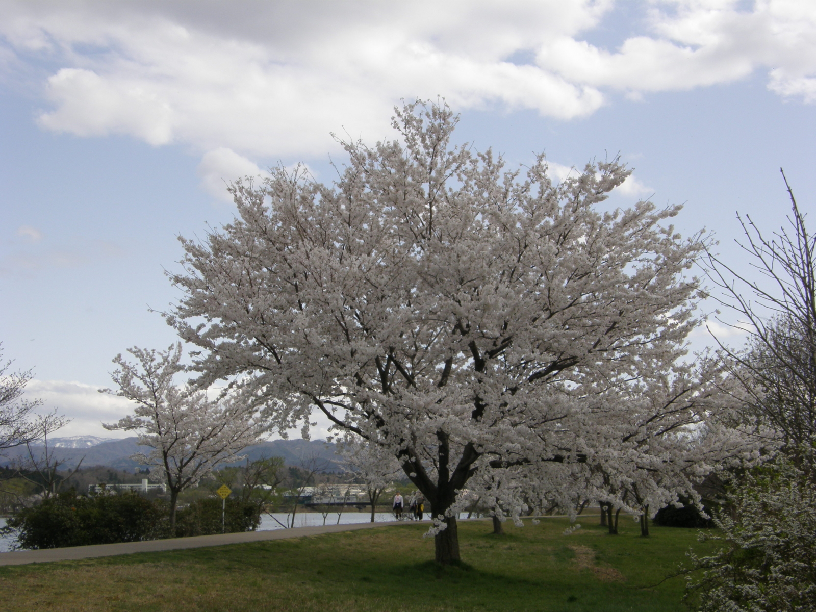 f:id:k10no3:20100410142638j:image:w640 f:id:k10no3:20100410142638j:image:w640