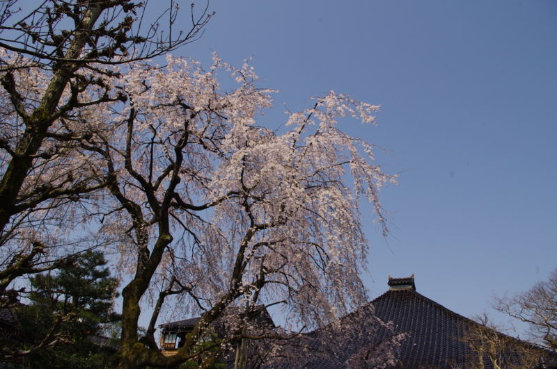 f:id:k10no3:20110410100442j:image:w560 f:id:k10no3:20110410100442j:image:w560
