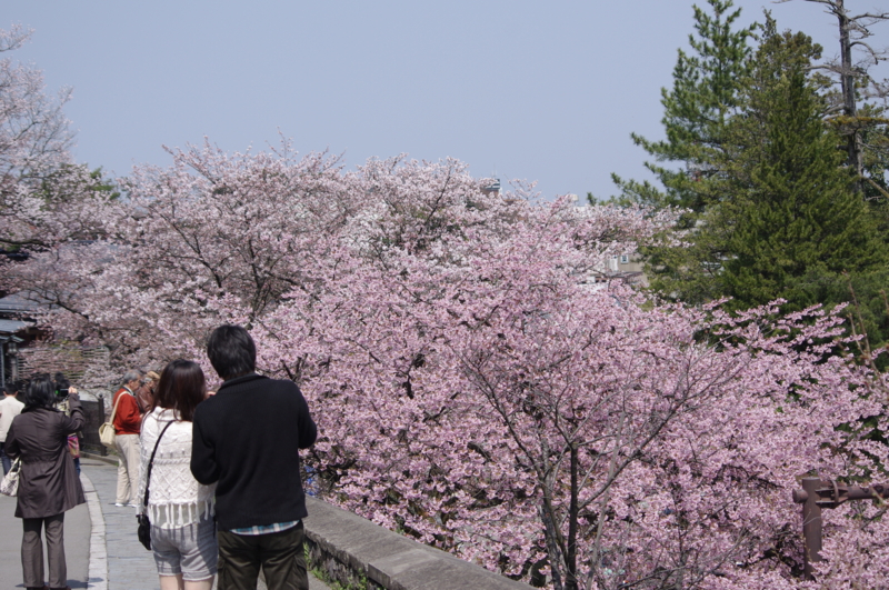f:id:k10no3:20110410110139j:image:w560 f:id:k10no3:20110410110139j:image:w560