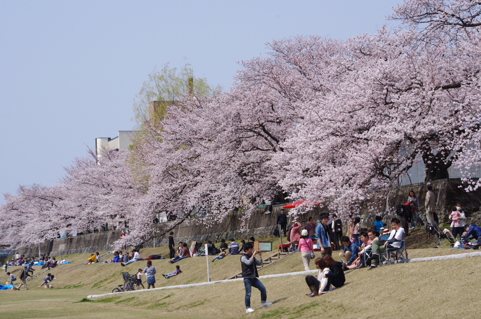 f:id:k10no3:20110410131124j:image:w640 f:id:k10no3:20110410131124j:image:w640