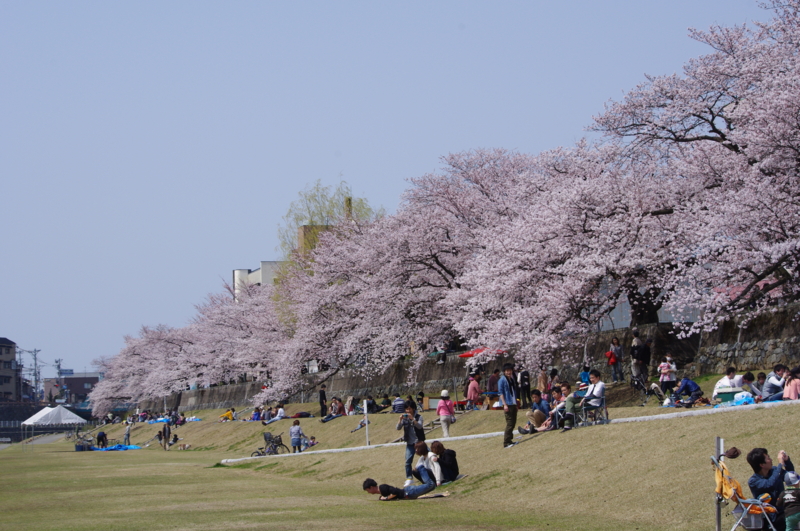 f:id:k10no3:20110410131126j:image:w560 f:id:k10no3:20110410131126j:image:w560