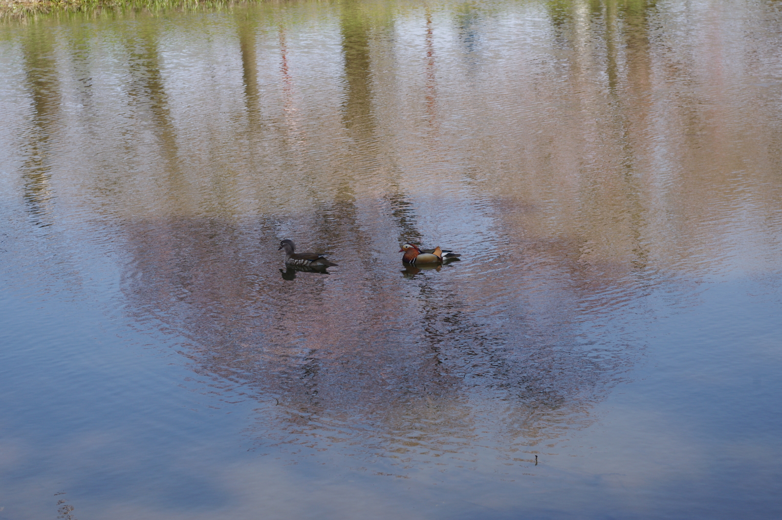 f:id:k10no3:20110430094358j:image:w560 f:id:k10no3:20110430094358j:image:w560