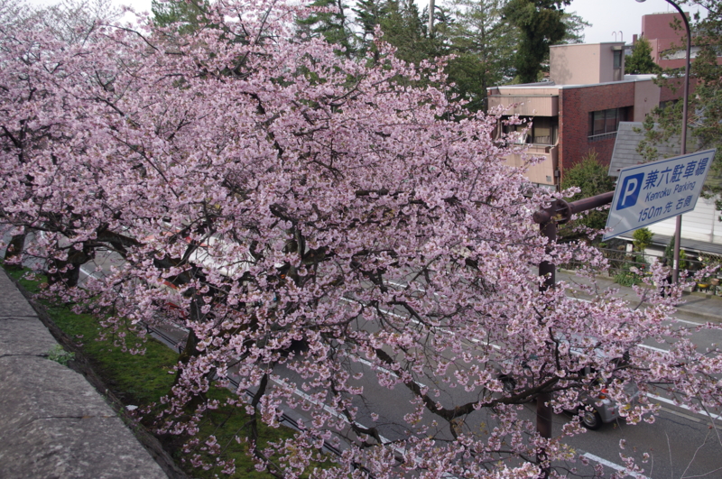 f:id:k10no3:20120410154442j:image:w520 f:id:k10no3:20120410154442j:image:w520