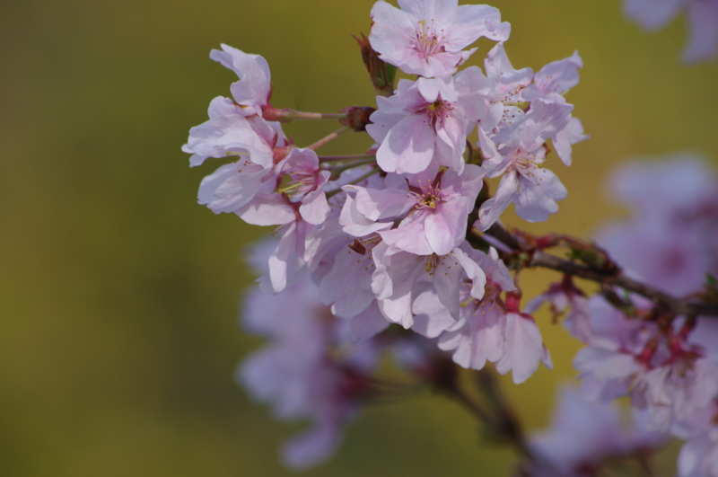 f:id:k10no3:20120412155417j:image:w520 f:id:k10no3:20120412155417j:image:w520