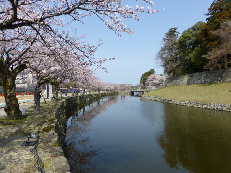 f:id:k10no3:20130404100803j:image:w560 f:id:k10no3:20130404100803j:image:w560