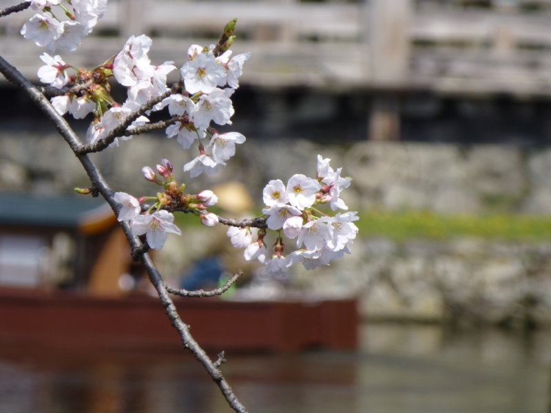 f:id:k10no3:20130404101125j:image:w560 f:id:k10no3:20130404101125j:image:w560