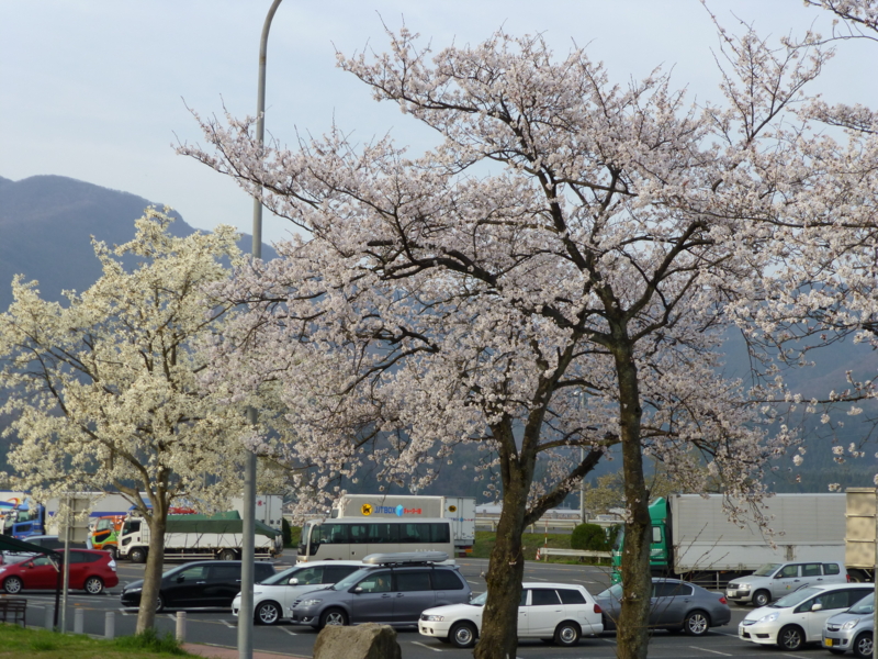 f:id:k10no3:20130404170109j:image:w560 f:id:k10no3:20130404170109j:image:w560