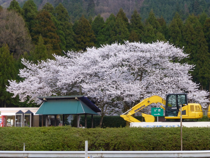 f:id:k10no3:20130404174245j:image:w560 f:id:k10no3:20130404174245j:image:w560