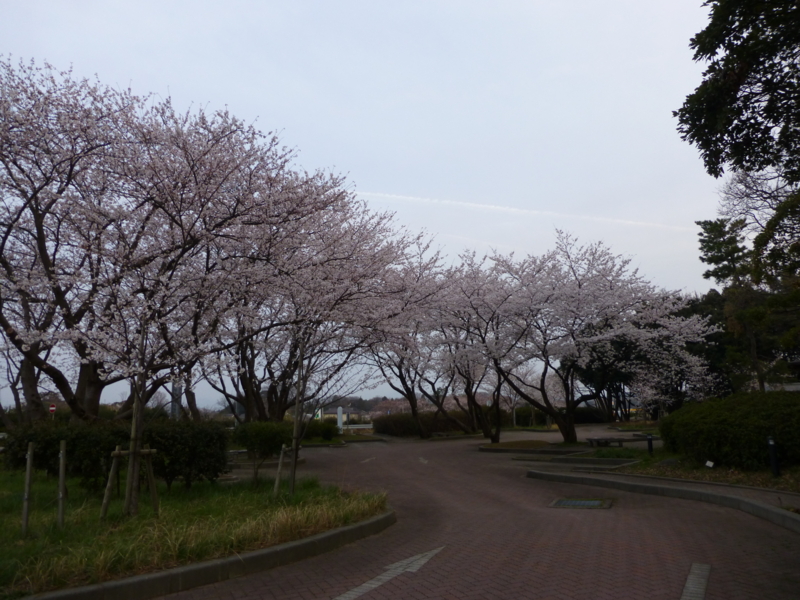 f:id:k10no3:20130404180619j:image:w560 f:id:k10no3:20130404180619j:image:w560