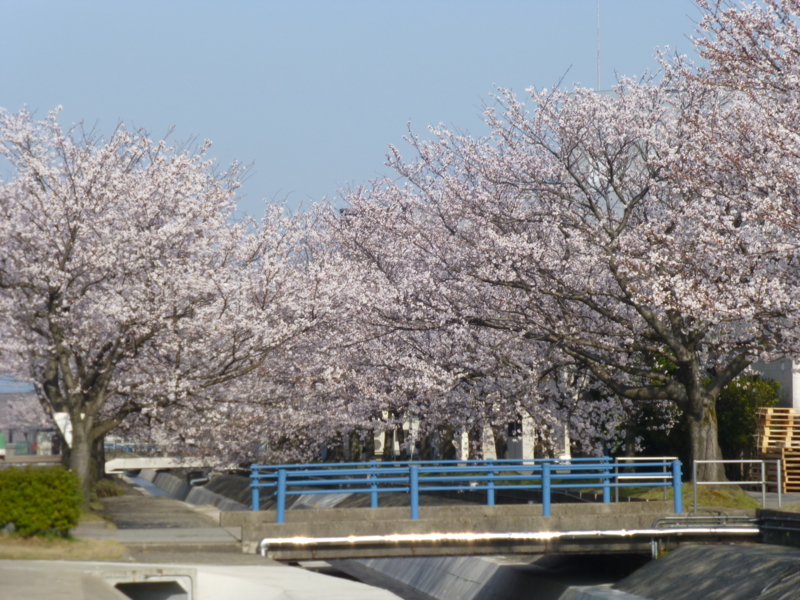 f:id:k10no3:20130405080544j:image:w560 f:id:k10no3:20130405080544j:image:w560