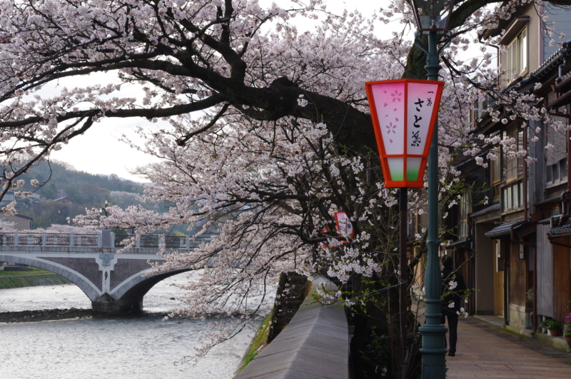 f:id:k10no3:20130406065032j:image:w560 f:id:k10no3:20130406065032j:image:w560