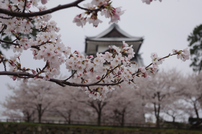 f:id:k10no3:20130406072923j:image:w560 f:id:k10no3:20130406072923j:image:w560