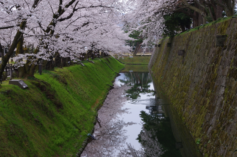 f:id:k10no3:20130406074622j:image:w560 f:id:k10no3:20130406074622j:image:w560