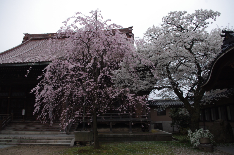 f:id:k10no3:20130406092504j:image:w560 f:id:k10no3:20130406092504j:image:w560