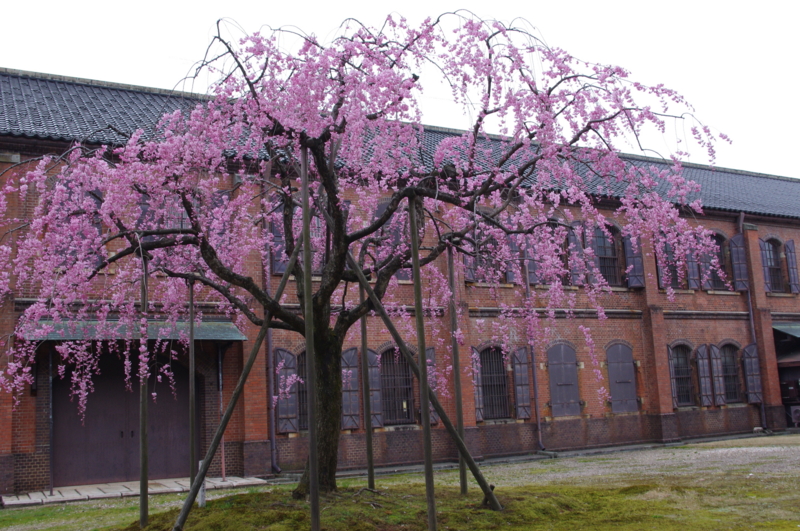 f:id:k10no3:20130406105102j:image:w560 f:id:k10no3:20130406105102j:image:w560