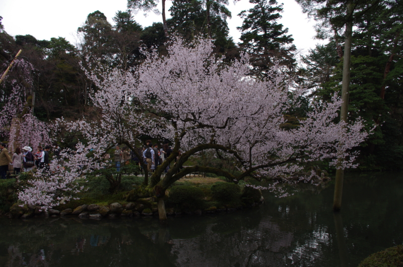 f:id:k10no3:20130406111723j:image:w560 f:id:k10no3:20130406111723j:image:w560