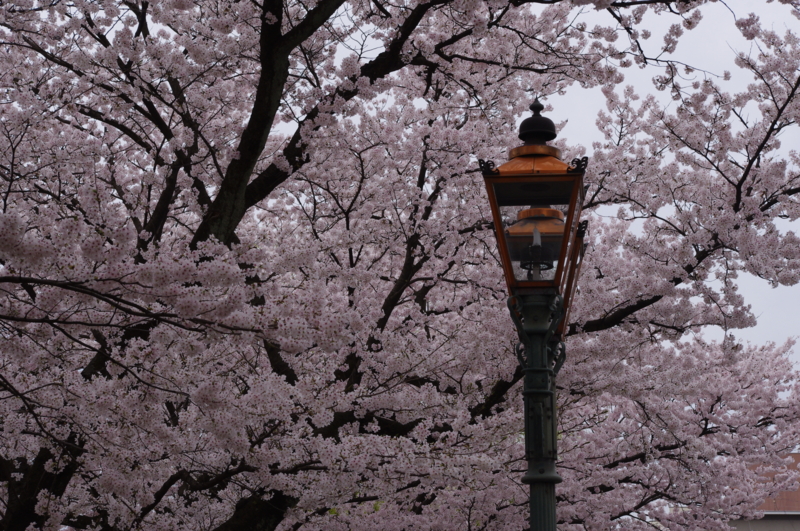 f:id:k10no3:20130406114709j:image:w560 f:id:k10no3:20130406114709j:image:w560