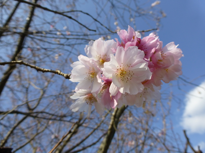 f:id:k10no3:20131105132903j:image:w560 f:id:k10no3:20131105132903j:image:w560