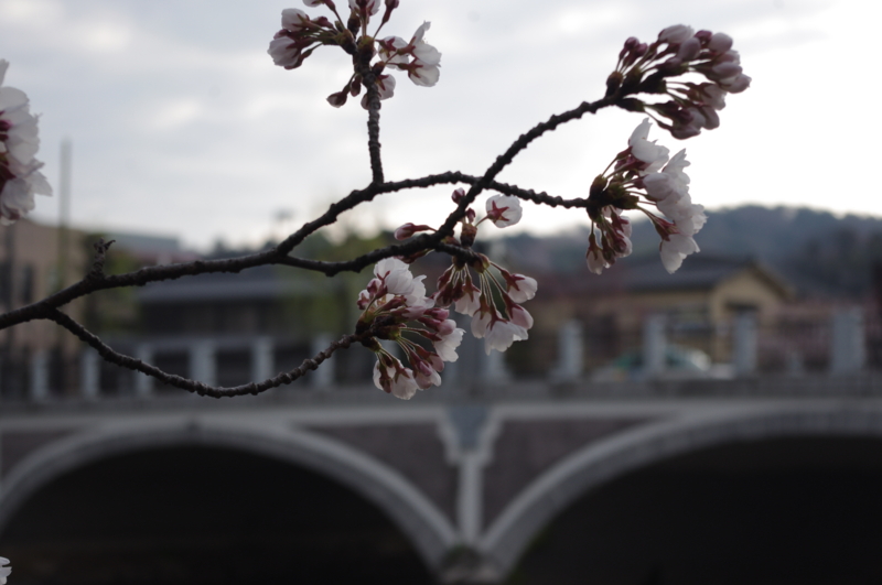 f:id:k10no3:20140406074617j:image:w560 f:id:k10no3:20140406074617j:image:w560