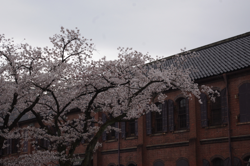 f:id:k10no3:20140406081917j:image:w560 f:id:k10no3:20140406081917j:image:w560