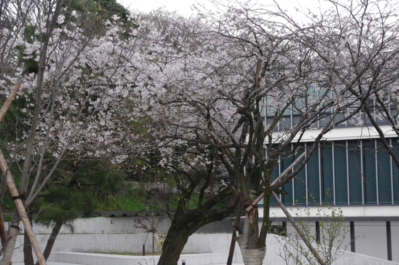 f:id:k10no3:20140406090625j:image:w560 f:id:k10no3:20140406090625j:image:w560