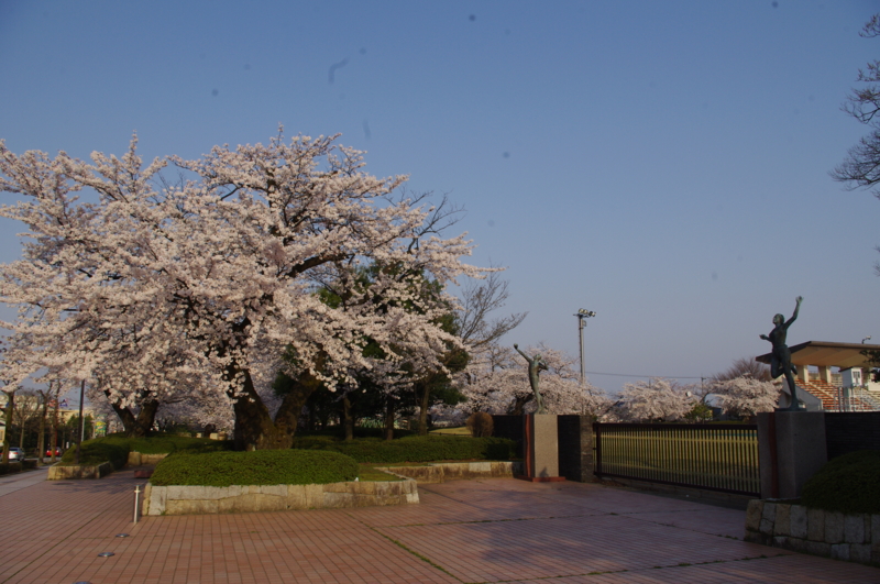 f:id:k10no3:20140408072603j:image:w560 f:id:k10no3:20140408072603j:image:w560
