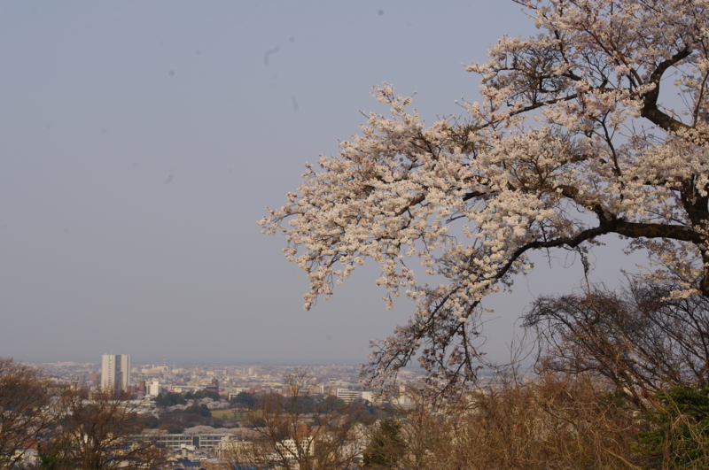 f:id:k10no3:20140410074300j:image:w560 f:id:k10no3:20140410074300j:image:w560