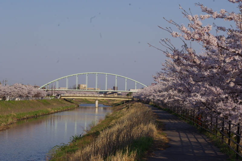 f:id:k10no3:20140411072130j:image:w279 f:id:k10no3:20140411072130j:image:w279