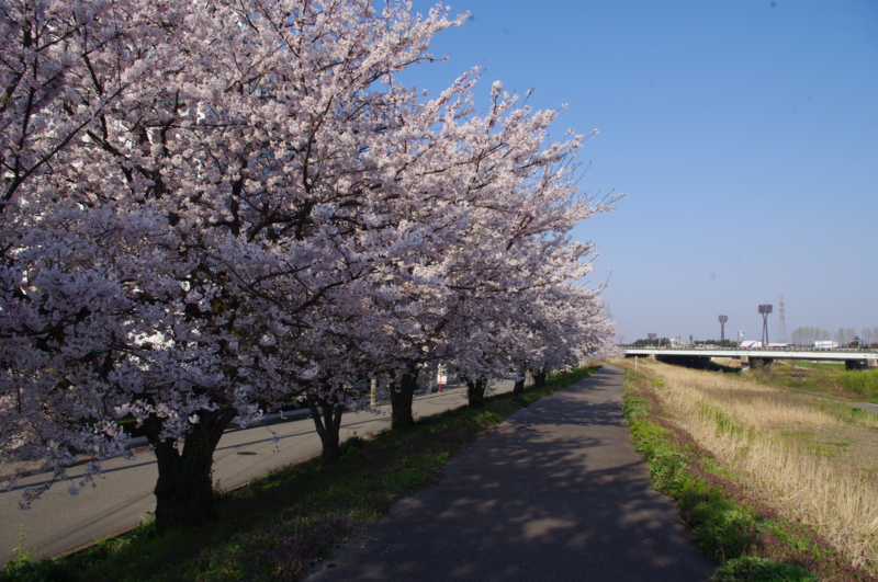 f:id:k10no3:20140411073329j:image:w279 f:id:k10no3:20140411073329j:image:w279