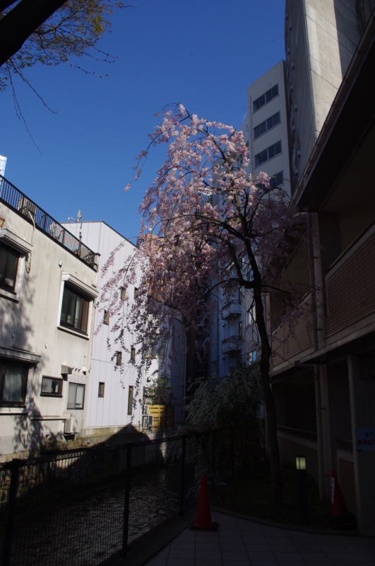 f:id:k10no3:20140412081903j:image:w360 f:id:k10no3:20140412081903j:image:w360