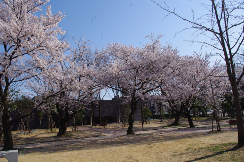 f:id:k10no3:20140412083321j:image:w279 f:id:k10no3:20140412083321j:image:w279