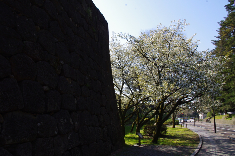 f:id:k10no3:20140412085004j:image:w560 f:id:k10no3:20140412085004j:image:w560