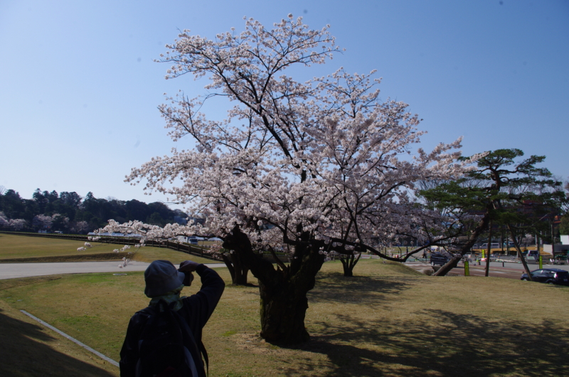f:id:k10no3:20140412085454j:image:w560 f:id:k10no3:20140412085454j:image:w560