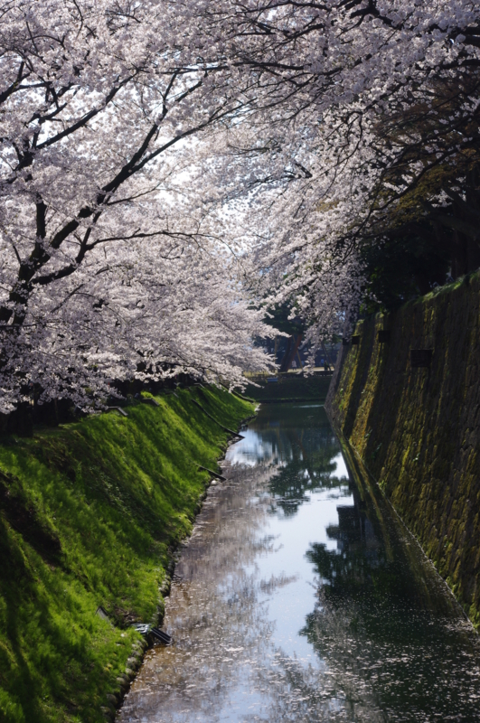 f:id:k10no3:20140412090248j:image:w360 f:id:k10no3:20140412090248j:image:w360