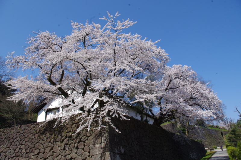 f:id:k10no3:20140412092152j:image:w560 f:id:k10no3:20140412092152j:image:w560