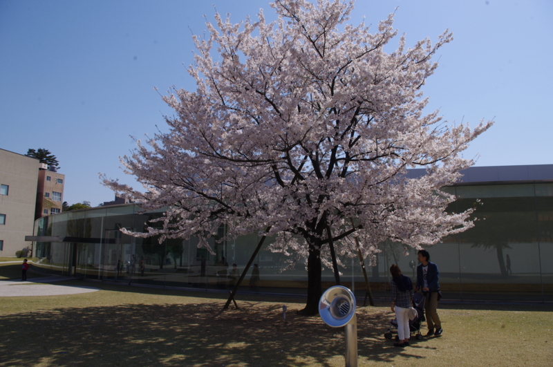 f:id:k10no3:20140412101336j:image:w560 f:id:k10no3:20140412101336j:image:w560