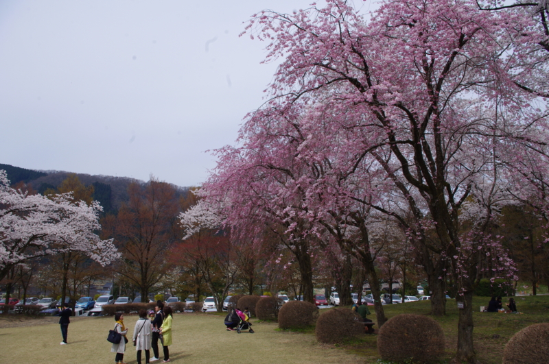f:id:k10no3:20140413103917j:image:w560 f:id:k10no3:20140413103917j:image:w560