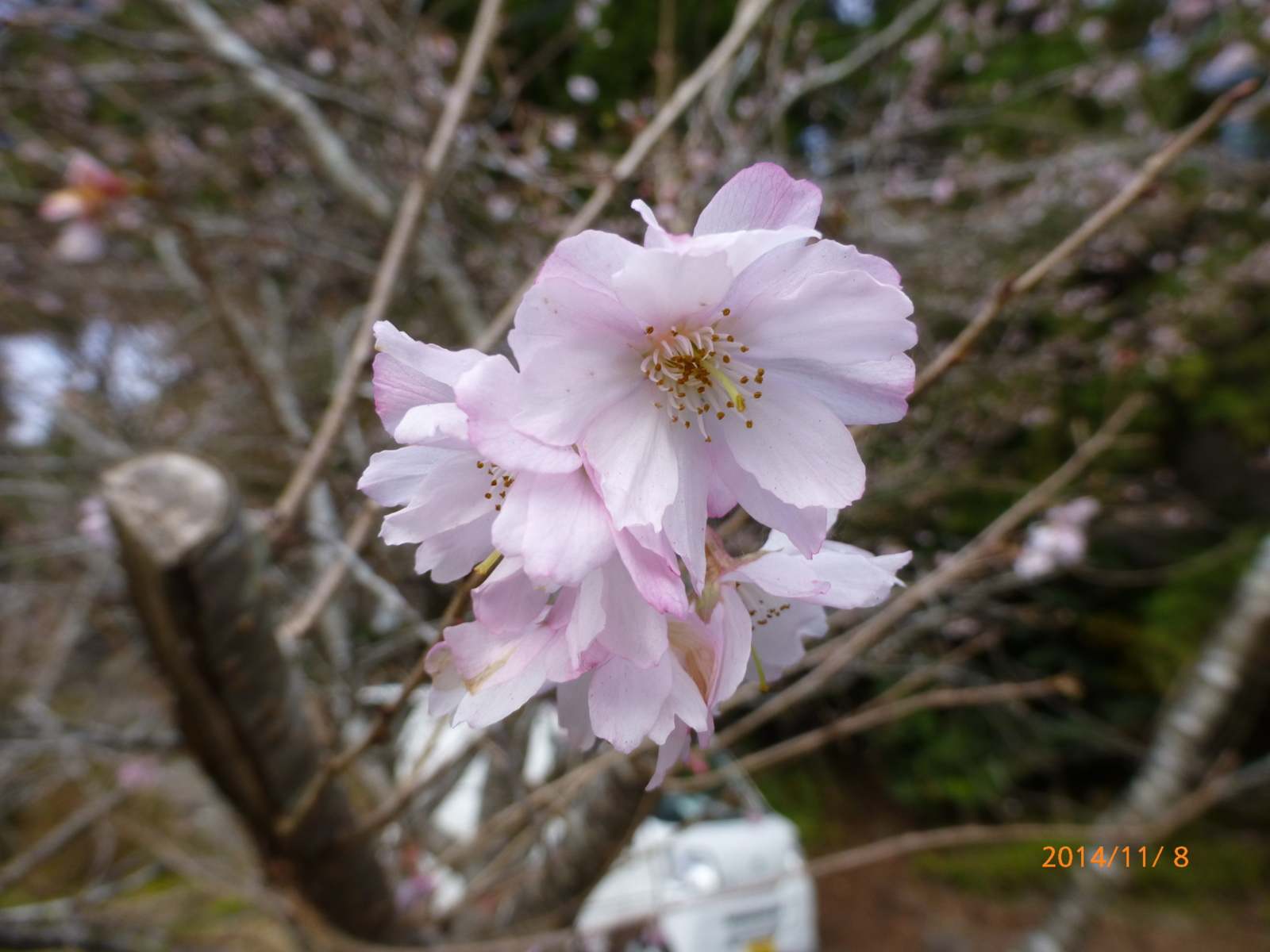 f:id:k10no3:20141108092218j:image:w560 f:id:k10no3:20141108092218j:image:w560