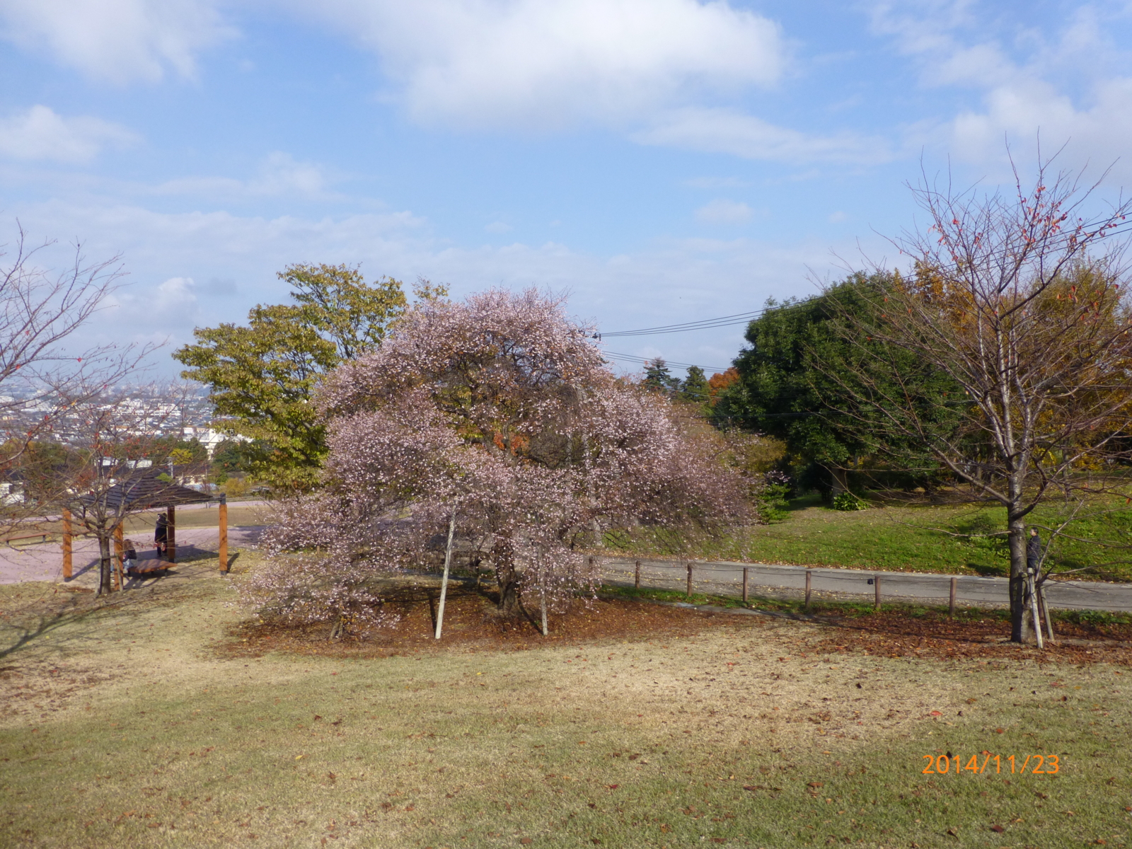 f:id:k10no3:20141123112245j:image:w560 f:id:k10no3:20141123112245j:image:w560
