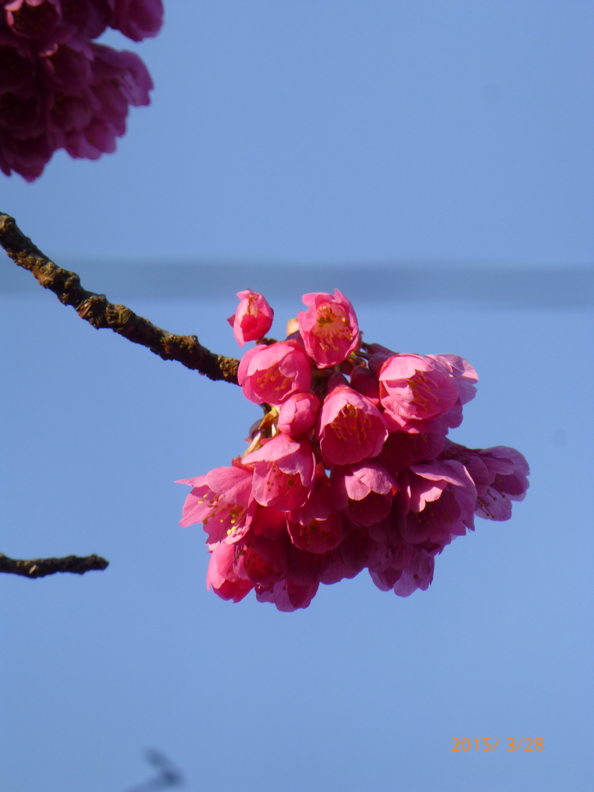 f:id:k10no3:20150328165947j:image:w420 f:id:k10no3:20150328165947j:image:w420