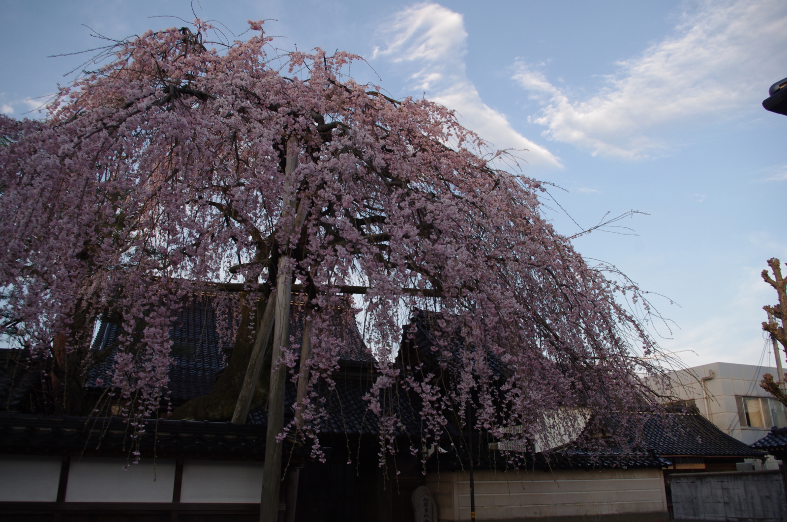 f:id:k10no3:20150403063104j:image:w560 f:id:k10no3:20150403063104j:image:w560