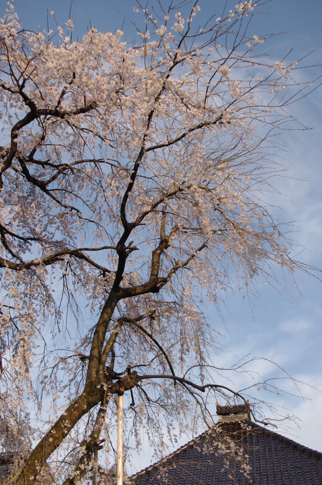 f:id:k10no3:20150403065635j:image:w420 f:id:k10no3:20150403065635j:image:w420