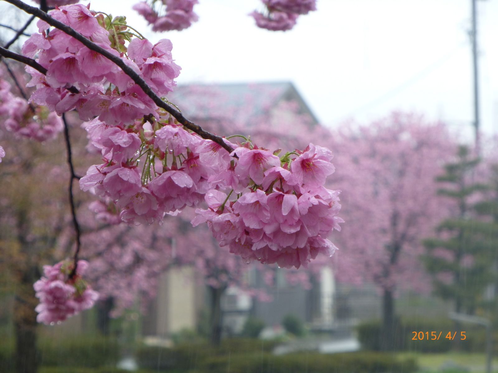 f:id:k10no3:20150405101522j:image:w560 f:id:k10no3:20150405101522j:image:w560